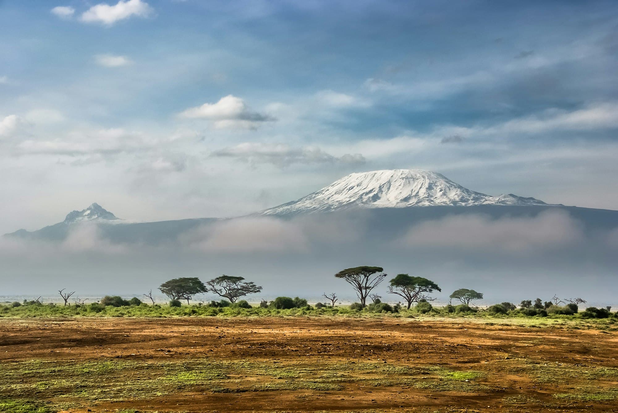 Snow on Kilimanjaro above acacia trees on the plains