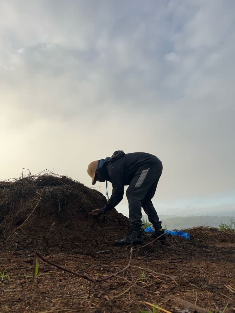 Nicolaus Novatus Mukasa working compost on a MUSSGO Farms plot